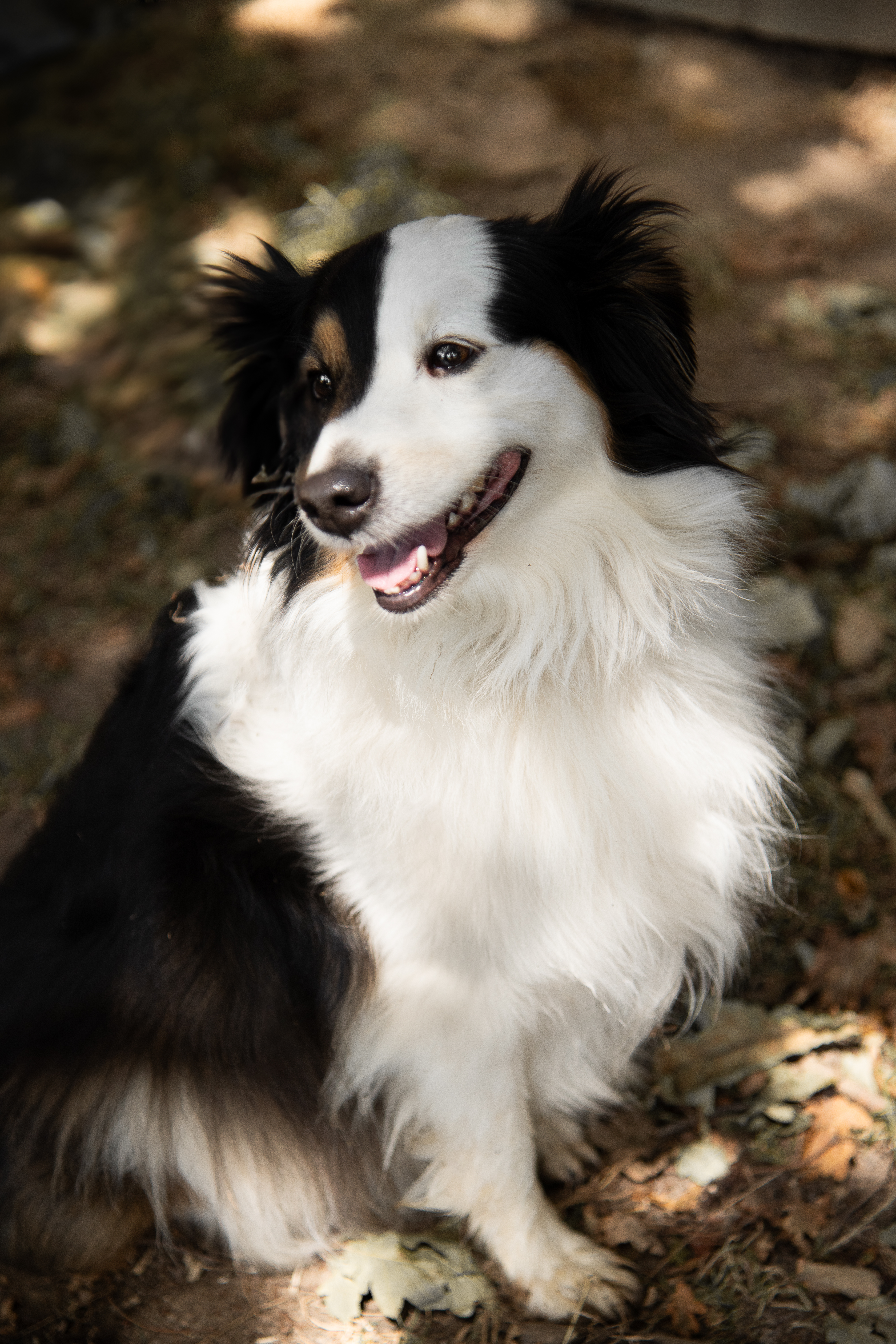 Photo supplémentaire 3