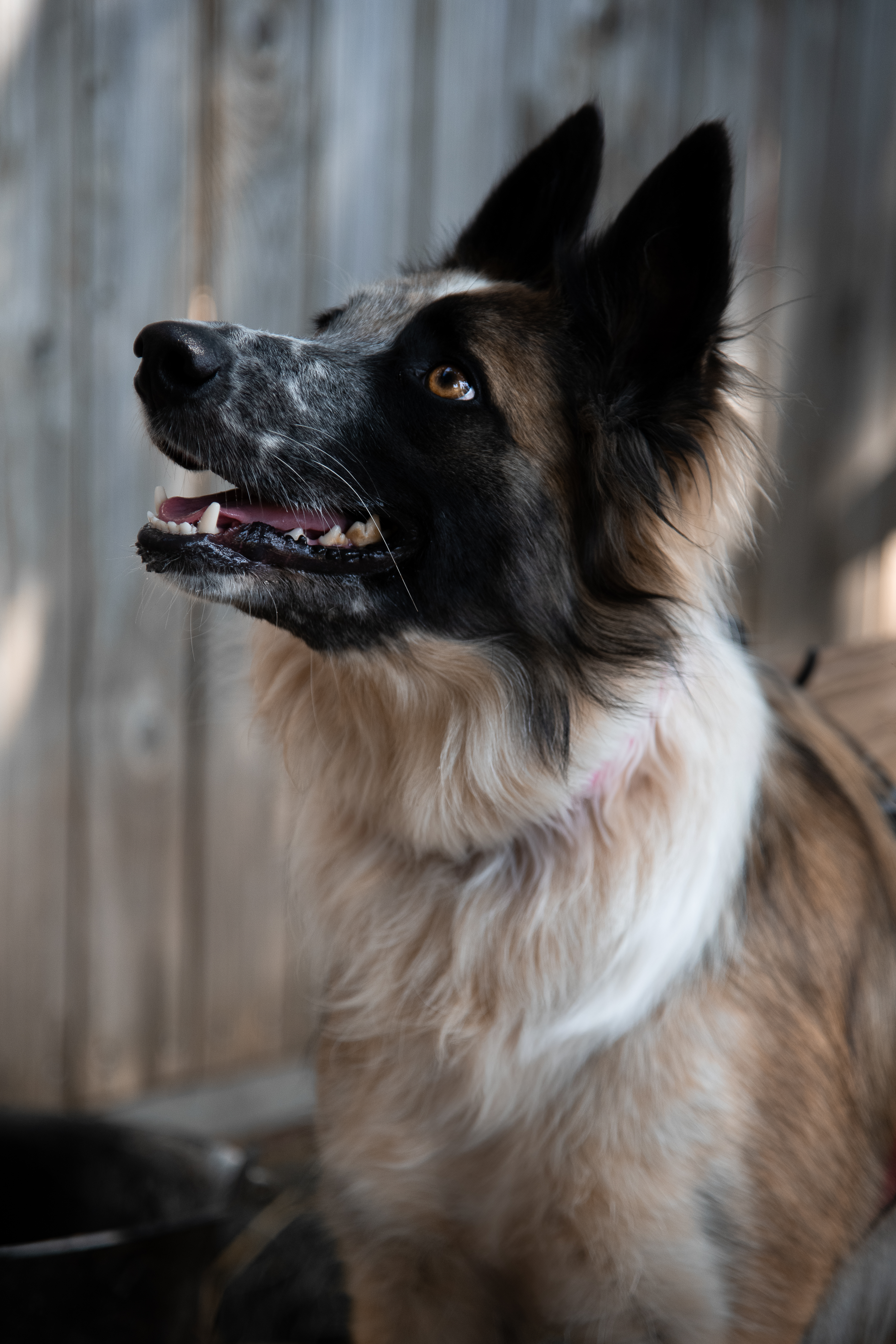 Photo supplémentaire 4