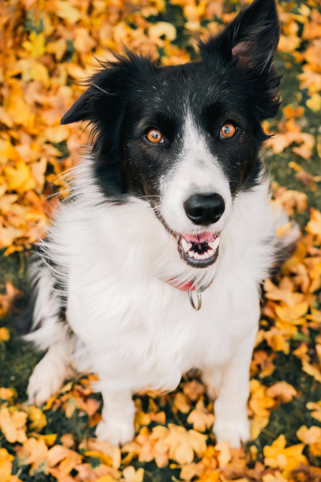 Galerie secondaire 5